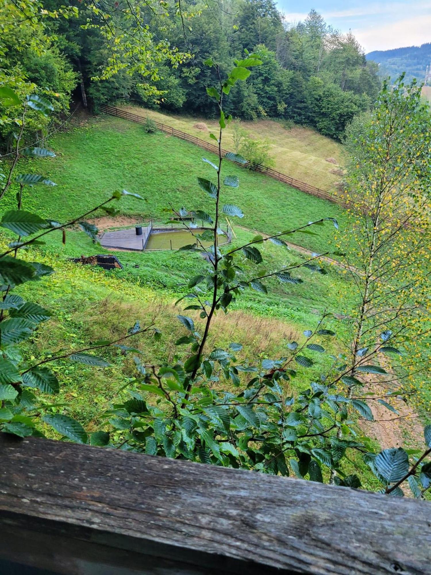 Ralph Cabin- Apuseni Mountains, Transylvania Bucium  Bagian luar foto