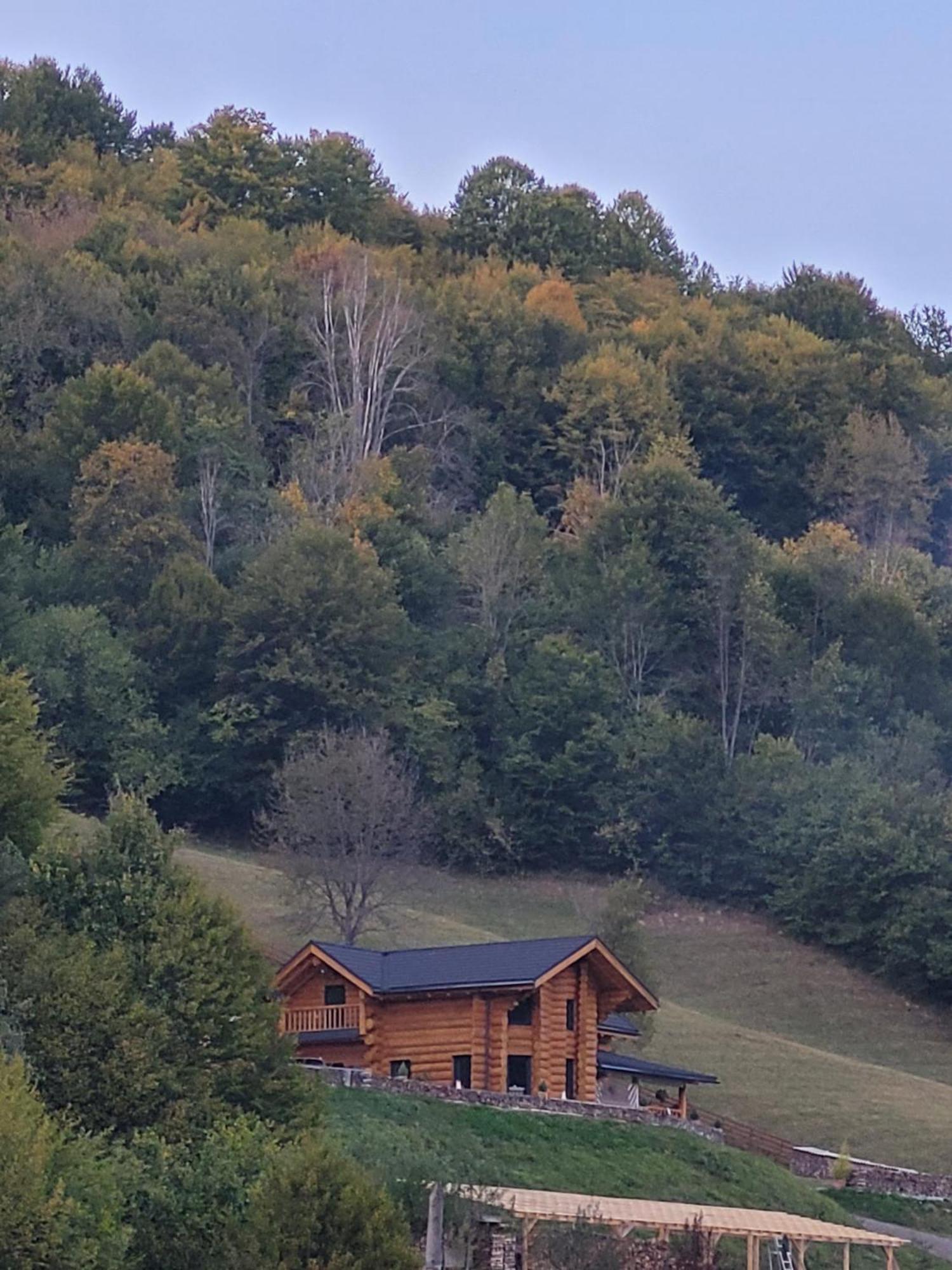 Ralph Cabin- Apuseni Mountains, Transylvania Bucium  Bagian luar foto
